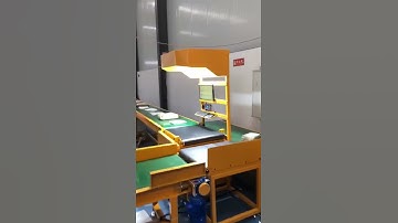 Static DWS connect with belt conveyors