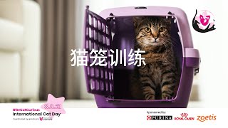 [Chinese Sub] Cat Carrier Training - Part 2 Inside Open Carrier