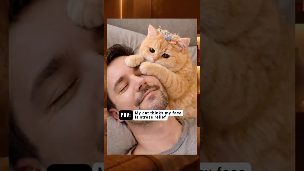 When Your Cat Gives You a Face Massage 😹🐾 