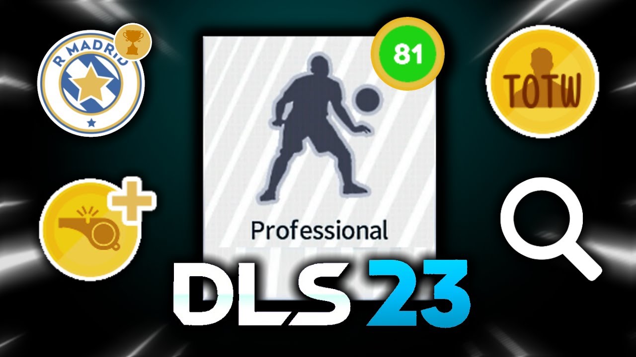 DLS 23