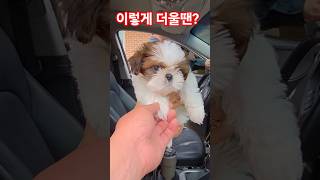 무더위에는