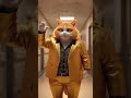 Https Youtube Com Shorts SN 3ASffitg Feature Share Https Youtube Com Shorts SN 3ASffitg Feature Share