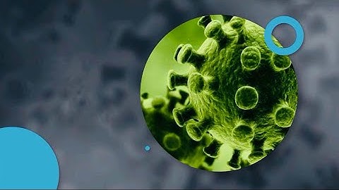 近代 生物 學 家 將 生物 分 為 五 界 已 知 結核 菌 除了 細胞膜 之 外 細胞 內 沒有 其他 由 膜 包圍 成 的 特殊 構造 以 此 推測 結核 菌