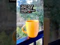 #reels #viral #chai #love #viralvideo #reels #motivation #goodmorning #tea #tealover #shortvideo #so
