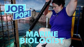 Job Pop! Marine Biologist