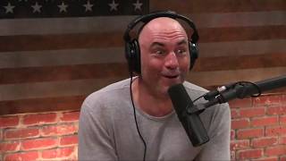 Joe Rogan And Adam Greentree Talking About Wild Pigs