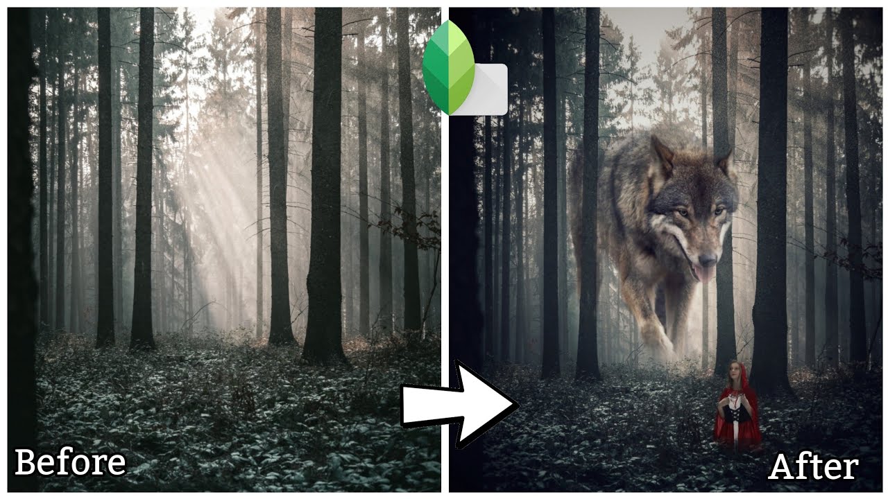 RED RIDING HOOD - SNAPSEED EDITING (HD)