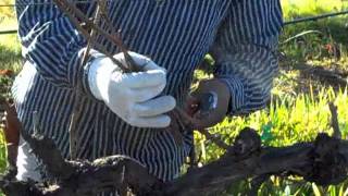 Pruning Contest