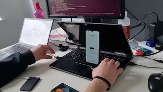 Apple Wallet Relay Attack by Alberto