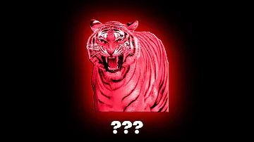 20 "Tiger Roaring" Sound Variations in 60 Seconds I Ayieeeks