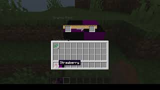 Agric Devlog #1: Drying Rack Block entity