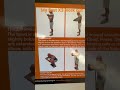 My first X3 Bar and Band workout #tuberted #fitness #exercise