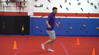 Cones- Zig Zag exercise demonstration by Dr. Brian Fischer