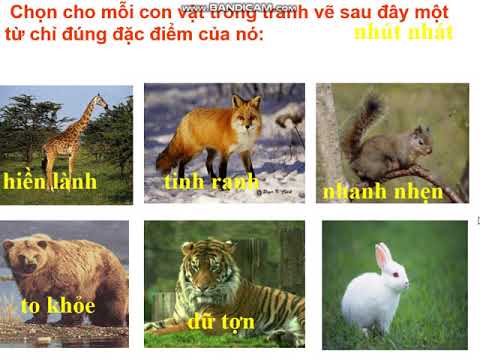 LTVC lớp 2 bài MRVT về loài thú. Dấu chấm, dấu phẩy (Tuần 24)