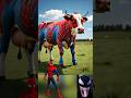 Superheros But Cow рџђ Marval Avengers Spiderman Shorts Superheros But Cow рџђ Marval Avengers Spiderman Shorts