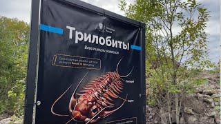 Где найти трилобита в Ленинградской области
