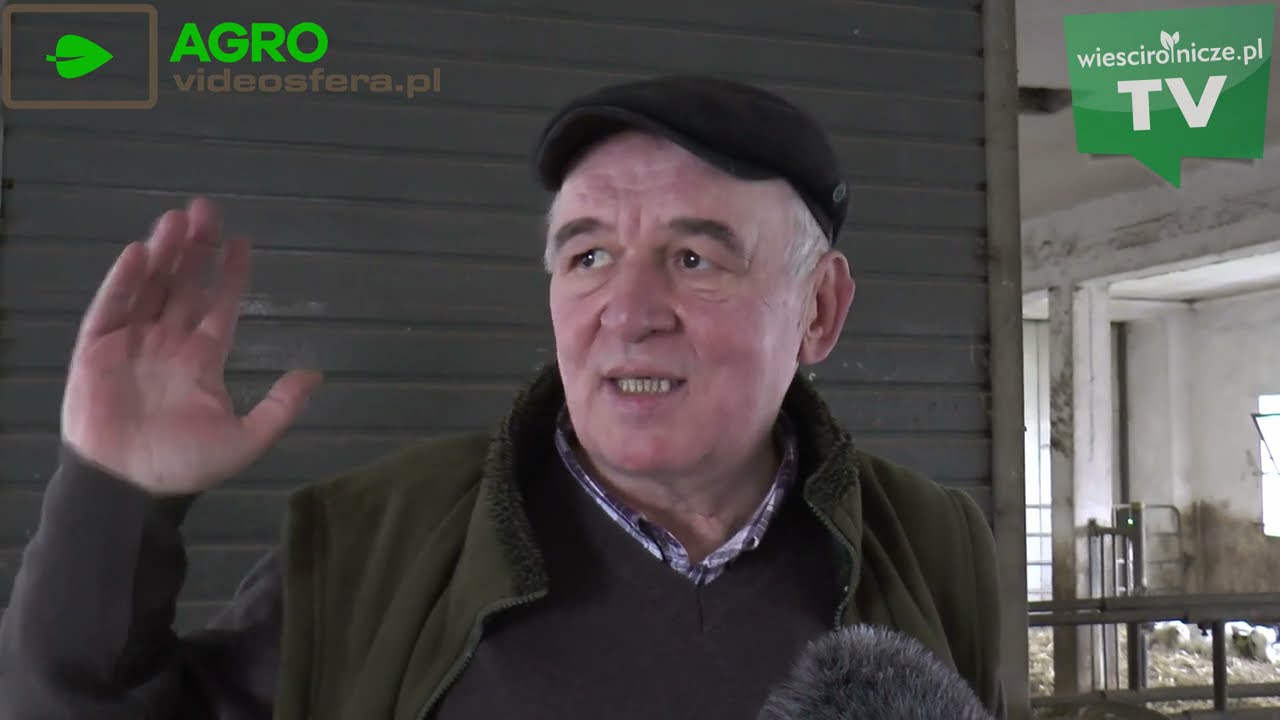 780 ha, 1000 szt. bydła. Gospodarstwo Jaworowiczów