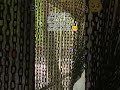 aap kam kya karte ho ham main tumhen dekhna yah kam karte Hain ham