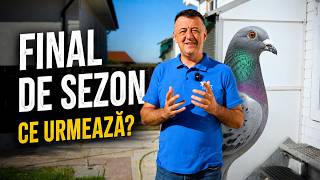 Am început cu 58 de porumbei… Câți au rezistat până la finalul sezonului..? 🕊️🔥