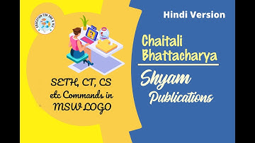 Seth, Clean CT CS in MSW logo