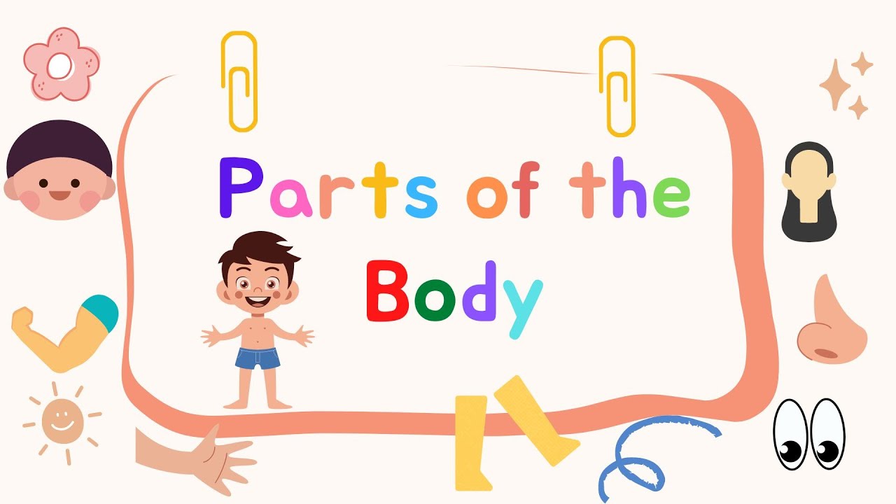Let's learn about the Parts of the Body. - YouTube