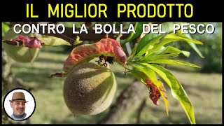 CULTIVERS Bicarbonato di potassio 5 kg Correttore di carenza di