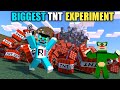 Minecraft | Biggest TNT Experiment With Oggy And Jack | Minecraft Pe | In Hindi | Rock Indian Gamer|