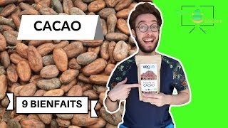 CACAO : 9 BIENFAITS EXCEPTIONNELS SUR TA SANTE !