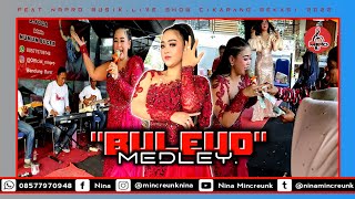 NINA MINCREUNK - BULEUD (MEDLEY) || NMPRO MUSIC || RGA SOUND || LIVE SHOW BEKASI 2022.