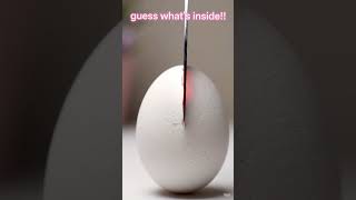 surprise egg!!!!!!!!!!!!!!!!!!!!!!!!!!!!!!!!!!!!!!!!!!!!!!!!!!!!!!!!!!