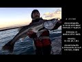夜の堤防からぶっこみ釣り！【3万登録にありがとうございます！】