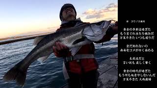 夜の堤防からぶっこみ釣り！【3万登録にありがとうございます！】
