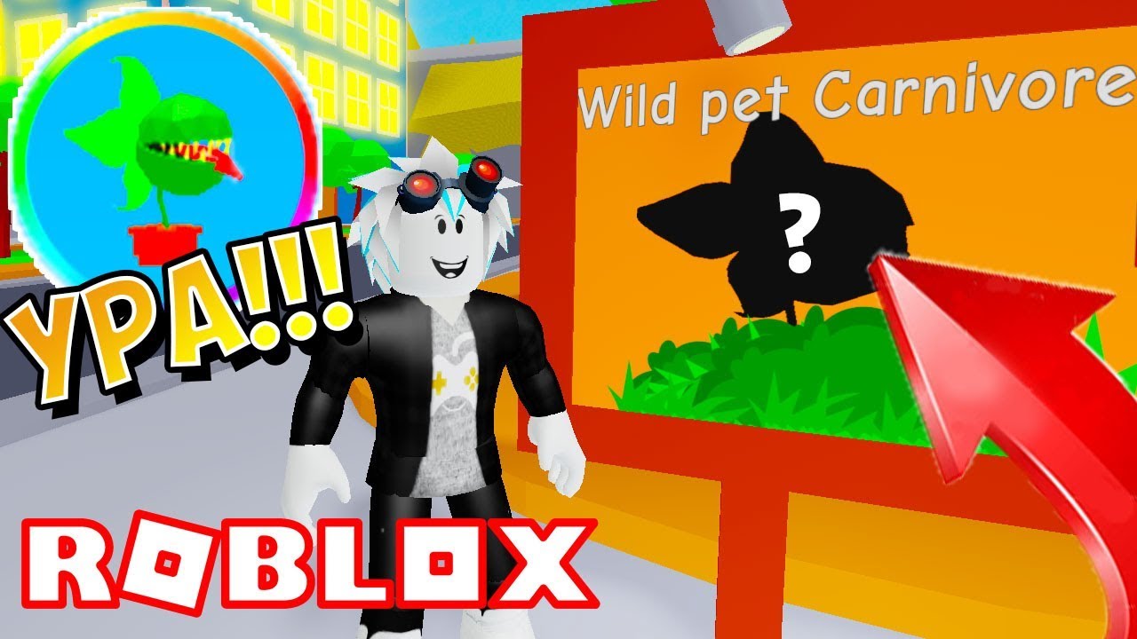 How To Find Wild Pets In Pet Trainer Roblox - roblox escape the pet store obby roblox gameplay