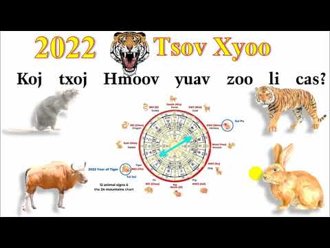 Video: Yuav kos tus Tsov rau Xyoo Tshiab 2022 li cas