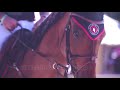 Edit「 Equestrian sport MV 」HD