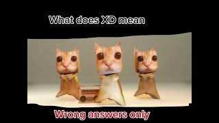 Celebrity What does XD mean wrong answers Wealth