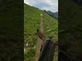 Ninety Seconds of Nature - Mule Ride in Hells Canyon