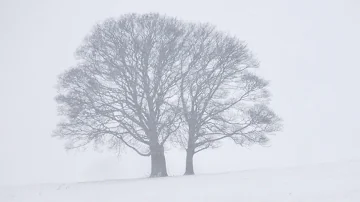 Ralph Vaughan Williams - Suite for Viola - Group 1(II) Carol. Helen Callus, viola.