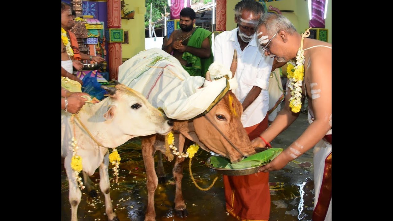 Pappakudi Sri Angalaparameswari Temple Mahakumbhabhishekam Events on July 03 2023