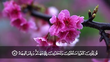 ما تيسر من سورة آل عمران l الشيخ د. محمد حسان