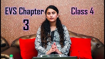 Lec 3 | Fairs and sports | EVS | Class 4 | PSEB & CBSE pattern | Sunshine Youth Club NGO