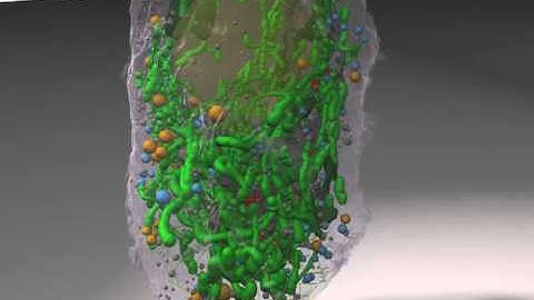 Whole Cell Imaging at High Resolution using Electron Tomography