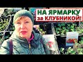 Весенняя ЯРМАРКА садовода. Что продавали , по какой цене  и что купила?