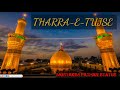 SARKAR MAULA ALI KI SHAN ME WHATSAPP STATUS (TU HAIDAR E KARRAR HE TU DIN KI YALGAAR HE) Whatsapp Status Video Download Free