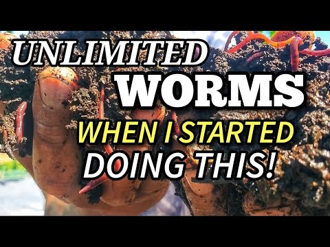 The Ultimate Guide to Composting with WORMS, BIOCHAR and CHICKENS Biology Diagrams