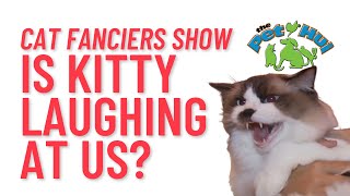 Cat Fanciers Association Cat Show 2015 Cat Fanciers Association Cat Show 2015