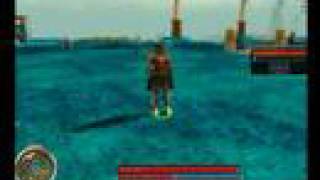 Guild Wars bug
