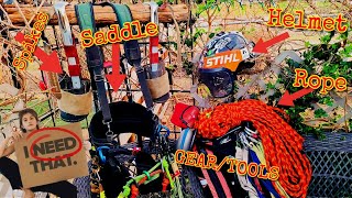 StihlBorn's Tree Climbing "MUST HAVES"