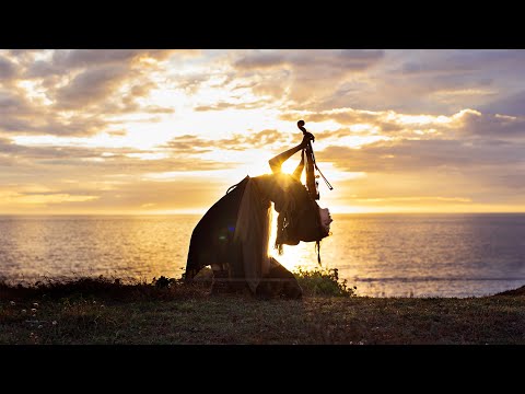 Смотреть клип Lindsey Stirling - Joy To The World