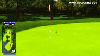 Golden Tee Great Shot on Shady Acres!